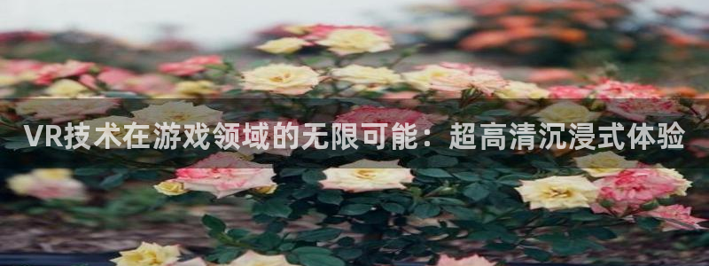 多彩娱乐app下载|下载地址：VR技术在游戏领域的无限可能：