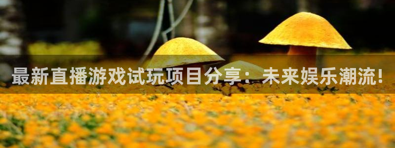 多彩娱乐直属：最新直播游戏试玩项目分享：未来娱乐潮流!