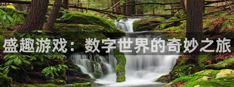 多彩娱乐登陆地址：盛趣游戏：数字世界的奇妙之旅
