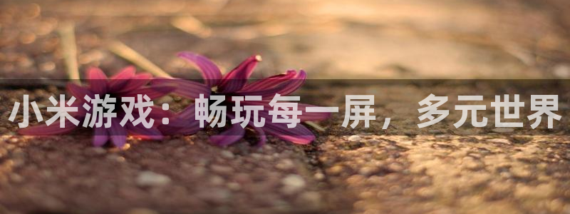 多彩娱乐线路测试：小米游戏：畅玩每一屏，多元世界