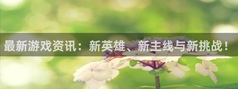 多彩娱乐咨询：最新游戏资讯：新英雄、新主线与新挑战！