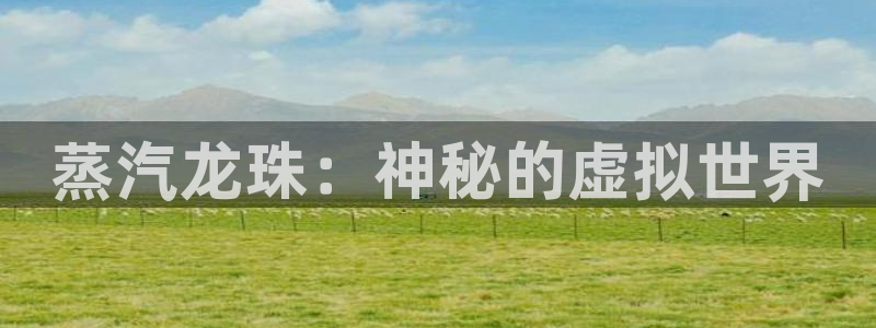 多彩娱乐在线登录：蒸汽龙珠：神秘的虚拟世界