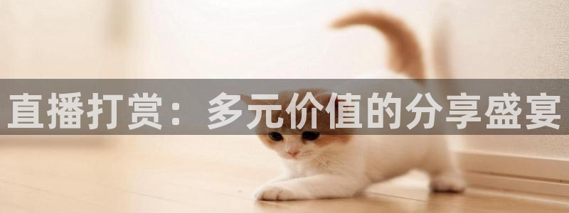 nba88看球直播在线观看