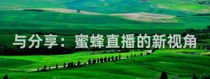 88看球直播足球比赛：与分享：蜜蜂直播的新视角