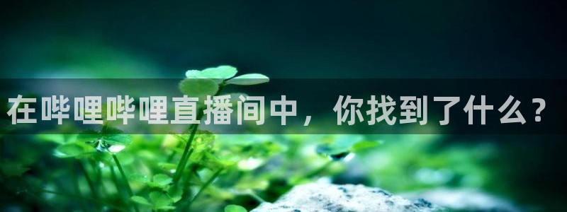 888看球nba直播免费：在哔哩哔哩直播间中，你找到了什么？