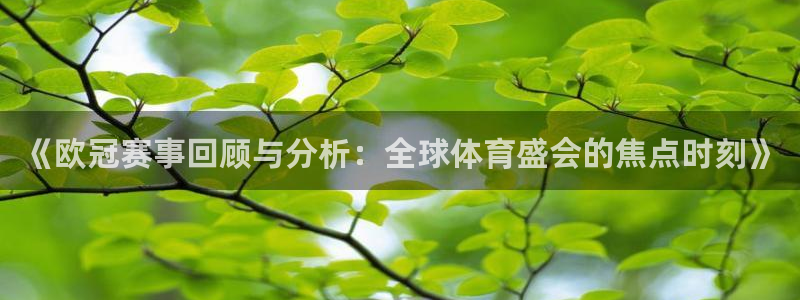 88看球直播官网入口