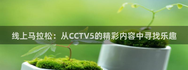nba直播在线观看免费88看球