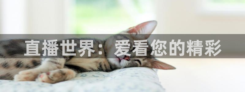 88看球nba线上直播：直播世界：爱看您的精彩