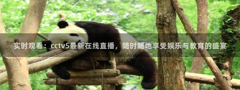 88看球直播nba直播：实时观看：cctv5最新在线直播，随时随地享受娱乐与教育的盛宴