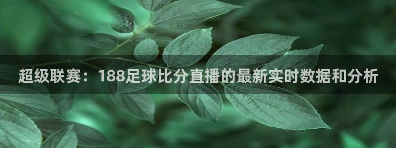 88看球直播无插件nba