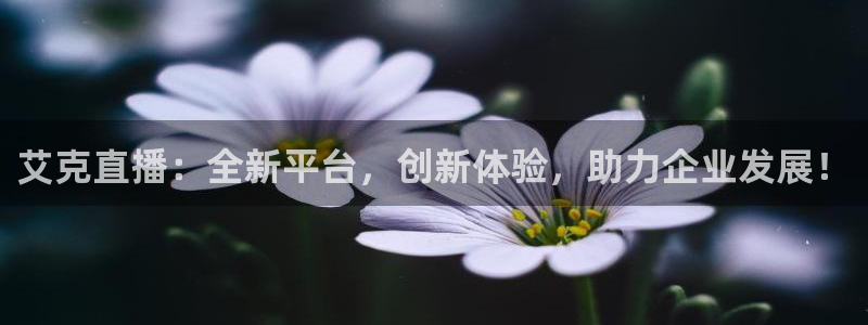 88看球直播nba免费官网