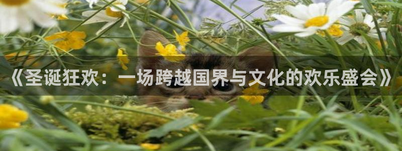 88看球nba免费直播：《圣诞狂欢：一场跨越国界与文化的欢乐盛会》